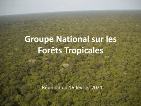 Report of the February 16, 2021 meeting of the National Group on Tropical Forests (GNFT)