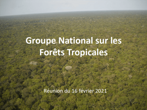 Compte-rendu de la réunion du Groupe National sur les Forêts Tropicales (GNFT) du 16 février 2021