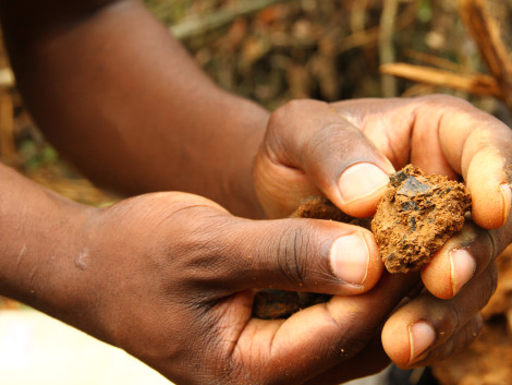 Des connaissances scientifiques supplémentaires sur l’écologie de l’okan