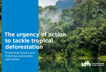Rapport IDH sur l’état des lieux des efforts déployés pour mettre fin à la destruction des forêts tropicales