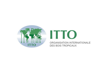 FLEGT dans rapport sur le marché des bois tropicaux - OIBT Volume 24 Numéro 9 - Mai 2020