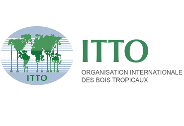 ITTO and the Convention on Biological Diversity renew their cooperation until 2025