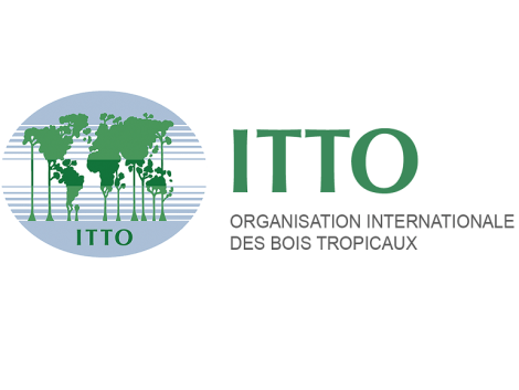 ITTO and the Convention on Biological Diversity renew their cooperation until 2025