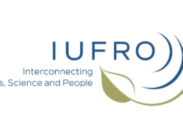 Publications IUFRO sur le potentiel du bois durable : enjeux pour les marchés européens et le bois tropical