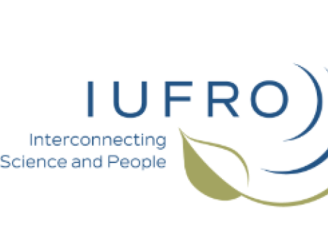 Publications IUFRO sur le potentiel du bois durable : enjeux pour les marchés européens et le bois tropical