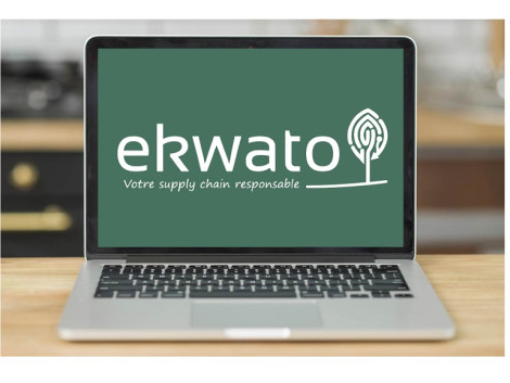 EKWATO : An innovative tool for companies in the timber industry (DDS, EUTR/UKTR)