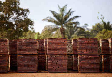 Call for tenders: Gaining a better understanding of the Chinese market to promote certified tropical timber