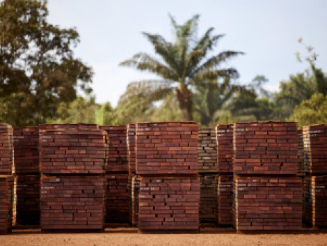 Appel d'offres: Mieux connaître le marché chinois pour valoriser le bois tropical certifié