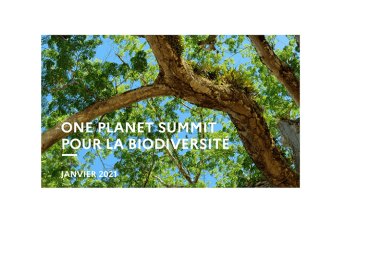 One Planet Summit « mobiliser et agir pour la biodiversité »