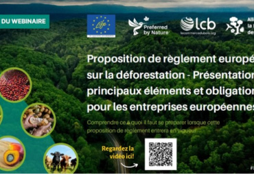 Retour sur les points de débat et réflexion sur le projet de règlement européen sur la déforestation importée