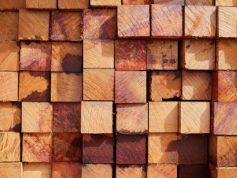 Offre de stage pour soutenir la valorisation commerciale des essences tropicales moins connues