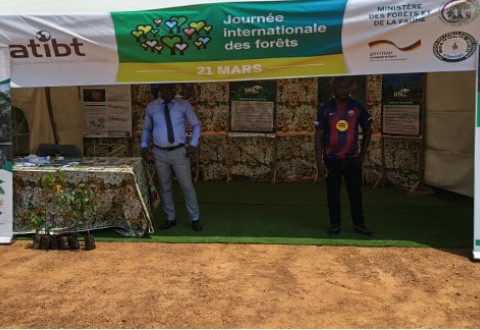 ATIBT Cameroon Takes Part in International Day of Forests 2026 celebration
