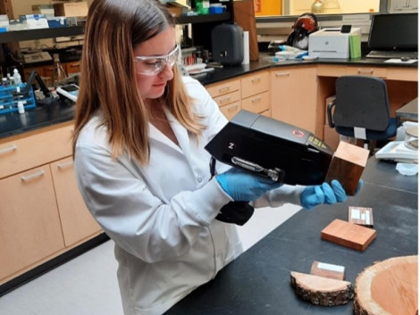 The LIBS technique : A Promising Innovation for Wood Identification and Traceability