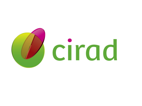 Partnership agreement between ATIBT and the Tropical Timber team from CIRAD