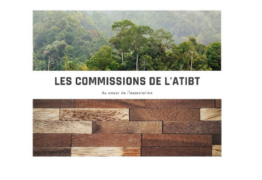ATIBT's commissions at the heart of the actions for our association