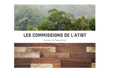 Les commissions de l’ATIBT au cœur des actions de notre association