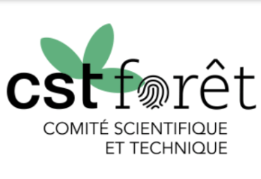 Forêts et biodiversité au cœur d’une journée thématique du Comité scientifique et technique Forêt de l’AFD.
