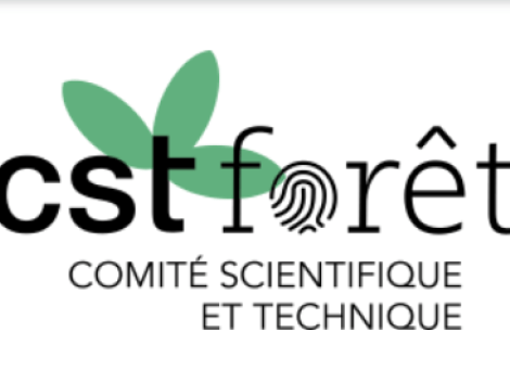 Forêts et biodiversité au cœur d’une journée thématique du Comité scientifique et technique Forêt de l’AFD.
