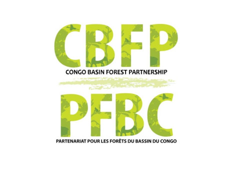 19th CBFP Meeting of Parties: Registration is open until May 20, 2022!