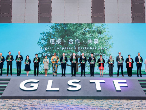 Global forum in China to develop sustainable timber industry: 9 key actions announced