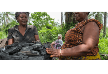 In the DRC, micro-enterprises collect wood residues to make ecological coal