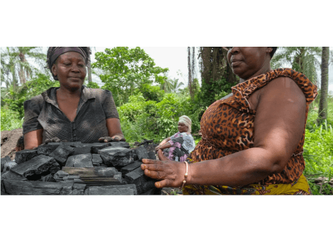 In the DRC, micro-enterprises collect wood residues to make ecological coal