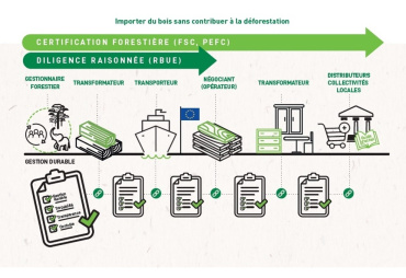 The certified forestry sector and imported deforestation