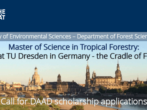 Postulez pour une bourse pour étudier dans le Master de Foresterie Tropicale à l’Université Technique de Dresden, Allemagne