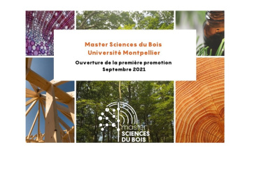 Un nouveau Master Sciences du Bois à la Faculté des Sciences de l’Université de Montpellier, avec un focus sur le bois tropical 