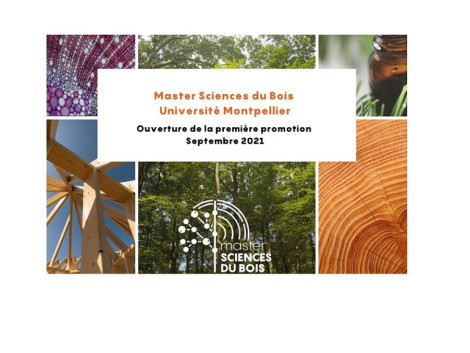 New Master in Wood Sciences at the Faculty of Sciences of the University of Montpellier, with a focus on tropical wood 
