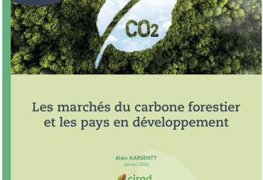 Forest carbon markets: what lessons can be learned for sustainable tropical forest management?