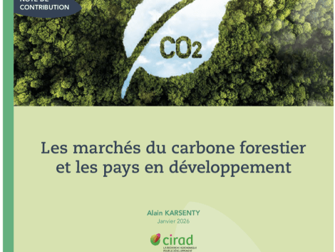 Marchés du carbone forestier : quels enseignements pour la gestion durable des forêts tropicales ?
