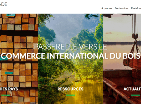 Le Timber Trade Portal fait peau neuve ! 