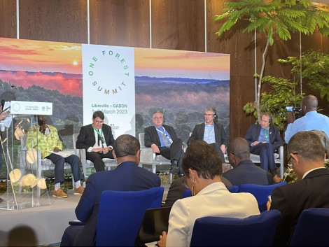 L’ATIBT présente au One Forest Summit les 1er et 2 mars 2023