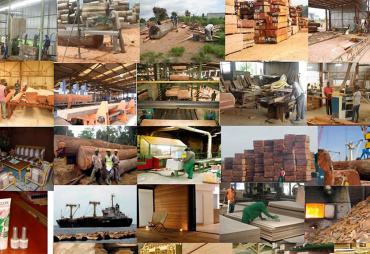 Overview of the private sector players in the Forest-Wood sector in Gabon
