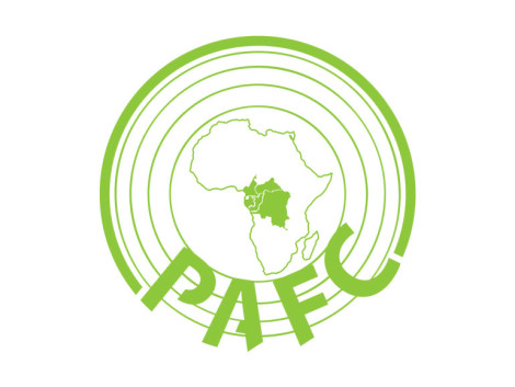 Annonce de l'atelier final de validation de la norme de certification forestière PAFC Bassin du Congo (PAFC BC) - 26 et 27 octobre 2020