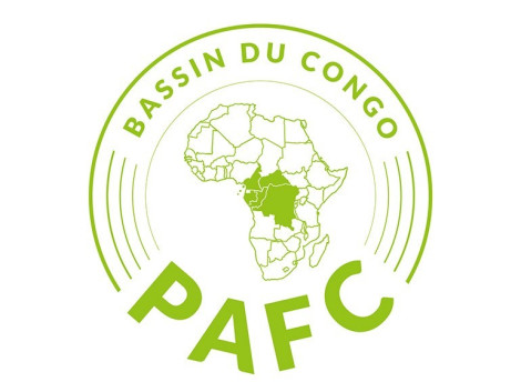 The Congo Basin PAFC officially recognized at the PEFC GA