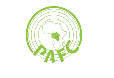 Introduction to the PAFC Congo Basin regional system