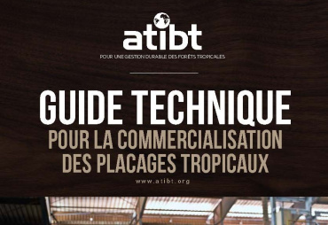 Le « Guide technique pour la commercialisation des placages tropicaux » est désormais téléchargeable sur le nouveau site de l’ATIBT