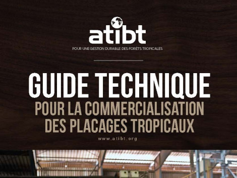 Le « Guide technique pour la commercialisation des placages tropicaux » est désormais téléchargeable sur le nouveau site de l’ATIBT