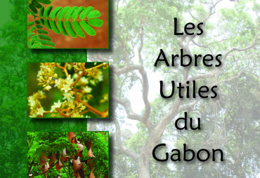 Pour un nouveau "Guide sur les arbres d’Afrique Centrale"