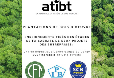 Entreprises forestières et plantations de bois d’œuvre