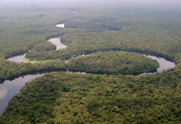 Salonga National Park (DRC) removed from the list of World Heritage in Danger
