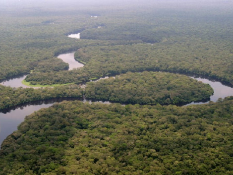 Salonga National Park (DRC) removed from the list of World Heritage in Danger
