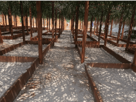 UFA-REFOREST project: the nurseries are expanding!