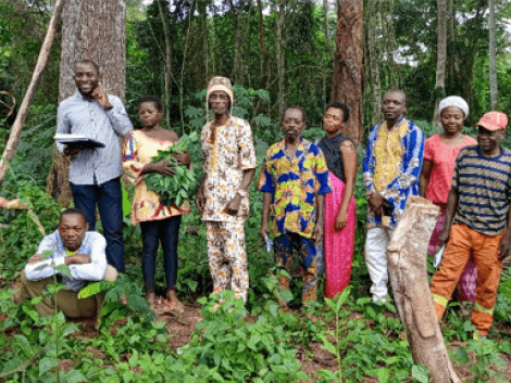 UFA-Reforest : vers la mise en place de systèmes d’approvisionnement en semences forestières