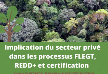 Finalisation des projets FLEGT REDD, FLEGT IP et FLEGT certification de l’ATIBT