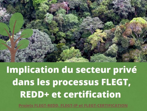 Finalisation des projets FLEGT REDD, FLEGT IP et FLEGT certification de l’ATIBT