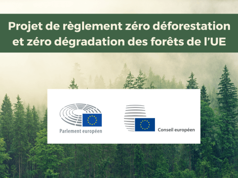 Accord provisoire sur la proposition de règlement zéro déforestation (RDUE) : les réactions et premières analyses