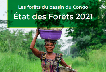 Le rapport 2021 sur l’état des forêts du bassin du Congo est disponible